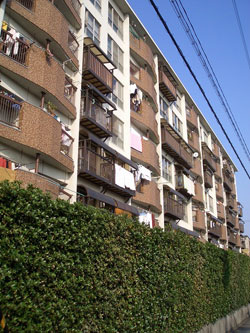 �Z�V�]�R�[�|