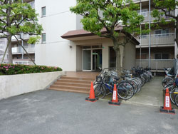 �Z�V�]�p�[�N�}���V����