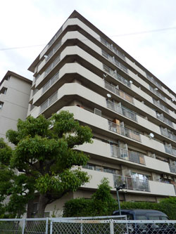 �Z�V�]�p�[�N�}���V����