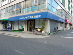 �Z�g�O���[���n�C�c