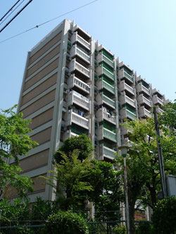 �Z�g��2�c�n11����