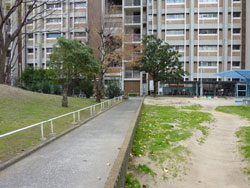 �Z�g��2�c�n11����