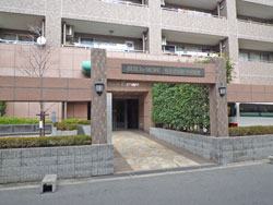 �r���g���A�[�Z�V�]���������ꉮ