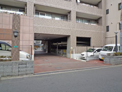 �r���g���A�Z�V�]���������ꉮ