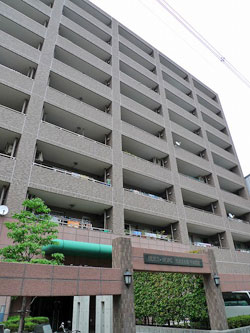 �r���g���A�[�Z�V�]���������ꉮ