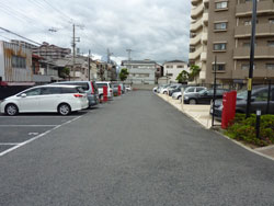 �V�����}���t�W�Z�V�]�����A�~���[�[