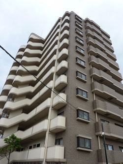 �V�����}���t�W�Z�V�]�����A�~���[�[