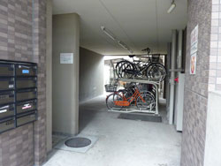 �V�����}���t�W�r���g���A�[�Z�V�]�����w�O�A�[�o���r���b�W