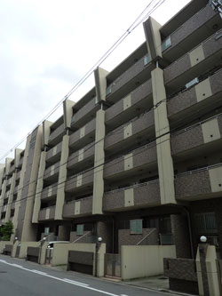 �V�����}���t�W�r���g���A�[�Z�V�]�����w�O�A�[�o���r���b�W