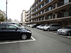 ���j�n�C�������ꉮ