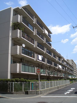 ���j�n�C�������ꉮ