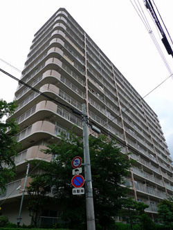 ���j�n�C�����l