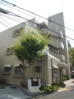 �����v���U��ˎR��