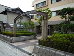 �R�[�g��ˎR����