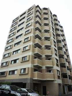 �R�[�g��ˎR����