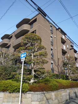 �Z�g�� ��ˎR�� �t�@�~�[���O������ˎR �O��