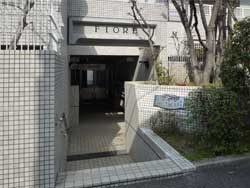 �Z�g�� ��ˎR�� �t�B�I�[����ˎR �G���g�����X