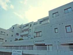 �Z�g�� ��ˎR�� �t�B�I�[����ˎR ���̑�