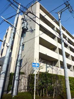 �Z�g�� ��ˎR�� �t�H������ˎR�O�����x�����B �O��