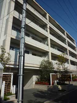 �C�j�V�A��ˎR