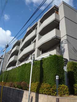 �W�I�O�����f��ˎR