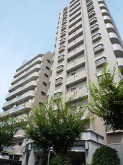 �����f�B�[�n�C���Z�g�����ʂ�