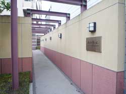 �Z�g�� ���]���h�[���Z�g�Q�� ���̑�