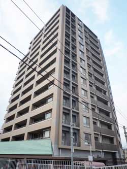 �Z�g�� ���]���h�[���Z�g�Q�� �O��