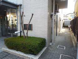 �Z�g�� ��ˎR�� ���C�I���Y�}���V������ˎR�� ���̑�