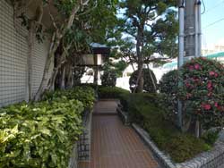 ���[����ˎR