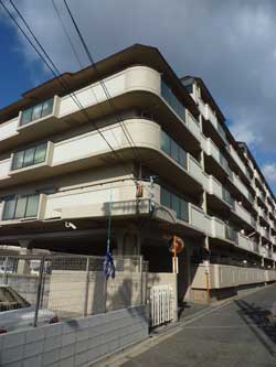 ���[����ˎR