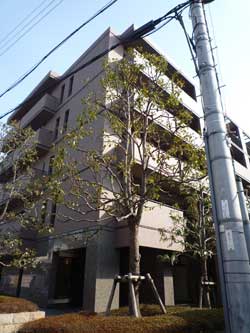 �Z�g�� ��ˎR�� ���W�I����ˎR �΍ʊ� �O��