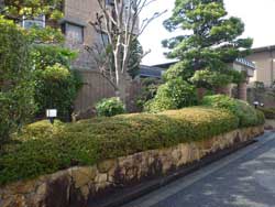 �Z�g�� ��ˎR�� ���W�����h�[����ˎR �G���g�����X