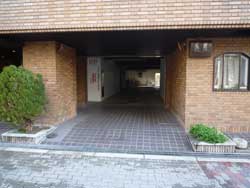 ���C�����n�C�c�Z�g