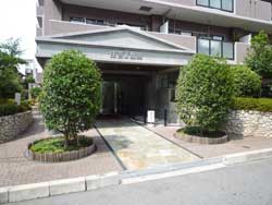 �Z�g�U�Ԋ�