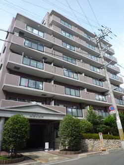 �Z�g�U�Ԋ�