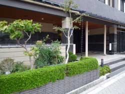 �Z�g�̓m�K�[�f���n�E�X