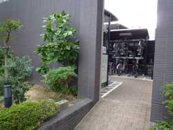 �Z�g�̓m�K�[�f���n�E�X