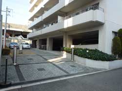 �Z�g���V�e�B�n�E�X