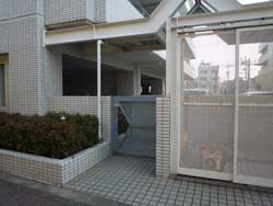 �Z�g���V�e�B�n�E�X