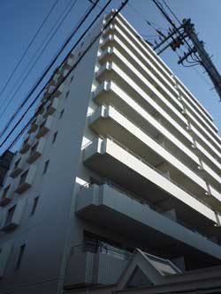 �Z�g���V�e�B�n�E�X