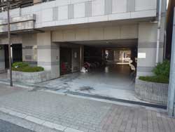 �Z�g�� �V�����}���t�W�r���g���A�[�Z�g�����l ���ԏ�