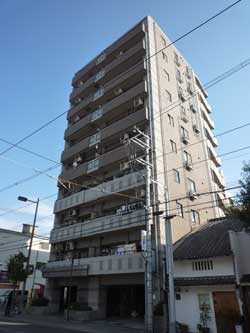 �Z�g�� �V�����}���t�W�r���g���A�[�Z�g�����l �O��