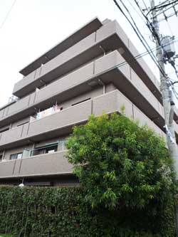 ��ˎR����p�[�N�n�E�X